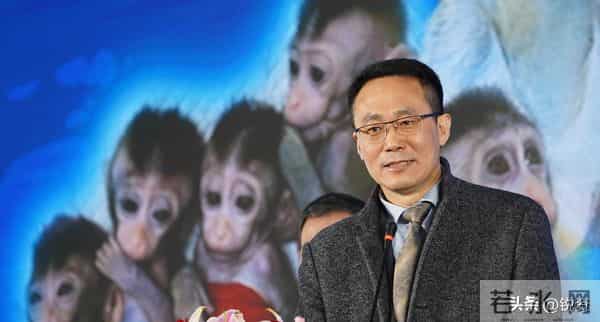 换脑试验领跑全球!9500万抑郁症患者有救?国家给出新方案