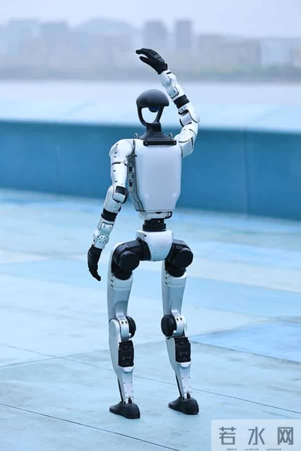 人形机器人：具有唯一性的10家公司