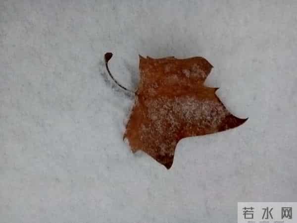 2022到2025：事实证明了任正非的预见性，我后悔当初没在意他的话