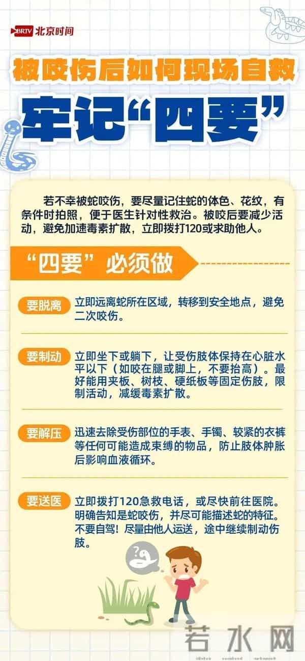 广东一采药人发现长约5米巨型蛇蜕，担心违法未将其捡走，网友：快走吧，我怕它回来找“衣服”