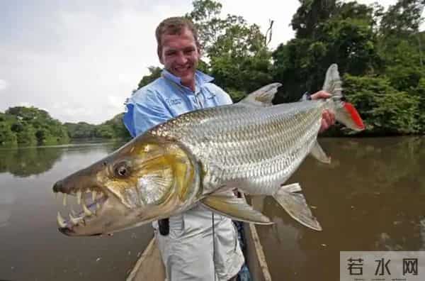 全世界最反差的河流，一面温柔似水，一面暴跳如雷！