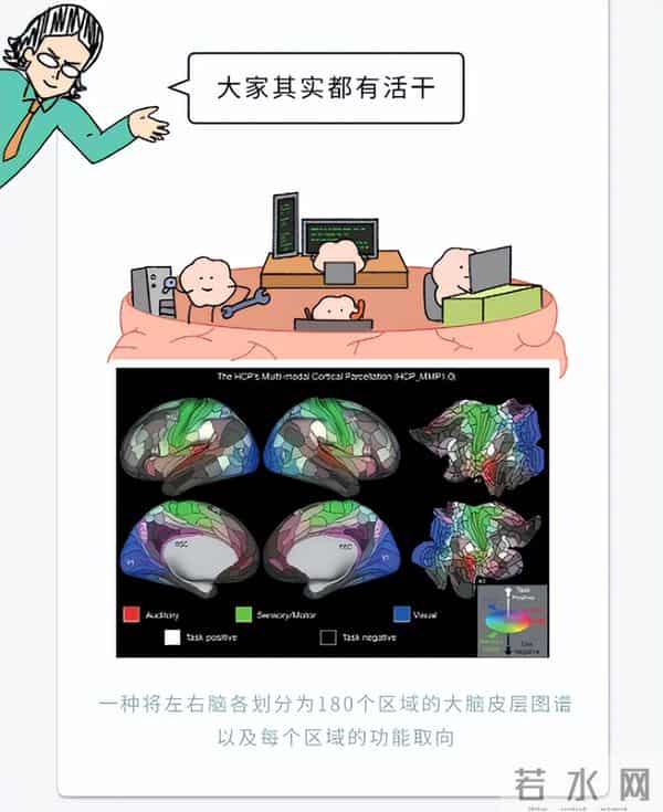 人脑只开发了10%？那100%全开得是啥样啊？