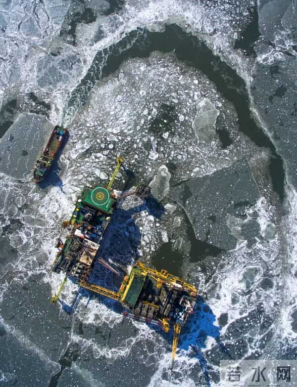 这种辽宁“含金量”,全国最高!