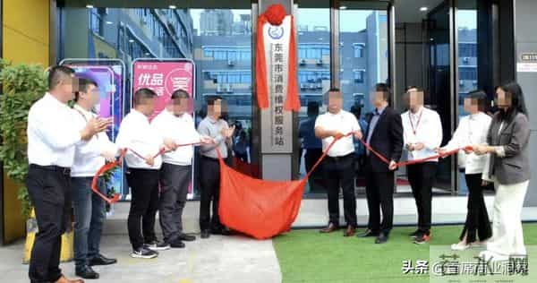 又一巨头暴雷!收割2400亿元,百万人资金打水漂,创始人主动投案