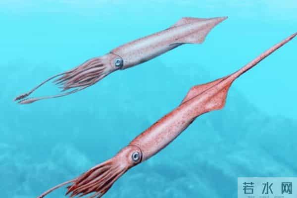 史前文明证据一亿多年前的地层,惊现大量被“铁钉”穿喉杀死的鱼