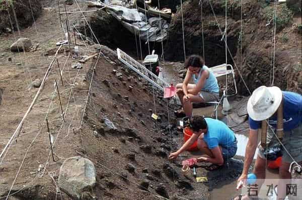 打脸西方营养学！新证：旧石器人类靠煮烂苦根撑过冰河期