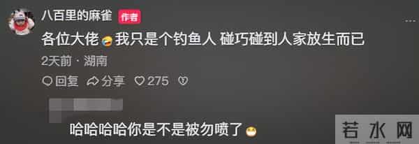 江边发现大量濒死草龟,身上用胶带缠着红布,网友:有罪去自首!