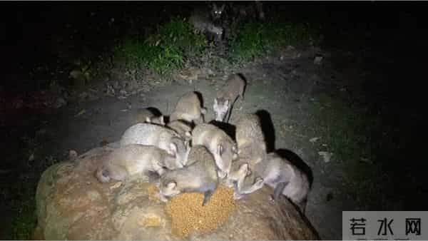 上海又有两区出现！有小区密度奇高，原因找到→