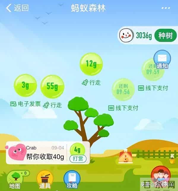 马云斥巨资在沙漠里种树，承诺每年1亿棵，9年过去了，树怎样了？