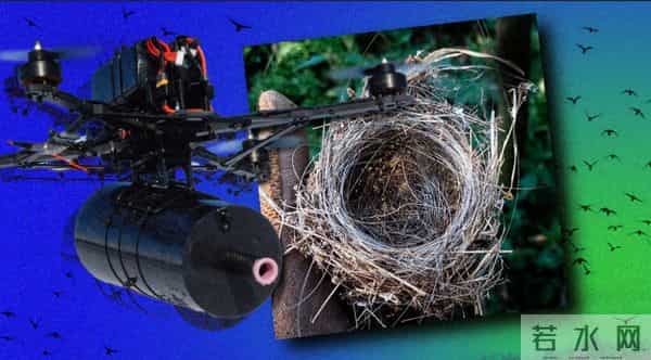 乌克兰的鸟用战场上的光纤筑巢,有的还用防鸟刺造窝,鸟类工业革命来了?