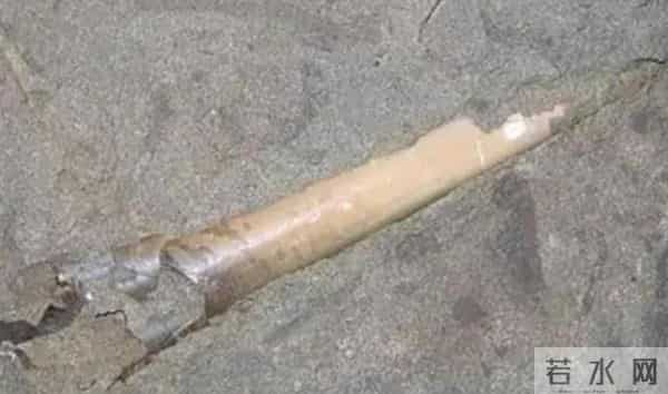 史前文明证据一亿多年前的地层,惊现大量被“铁钉”穿喉杀死的鱼