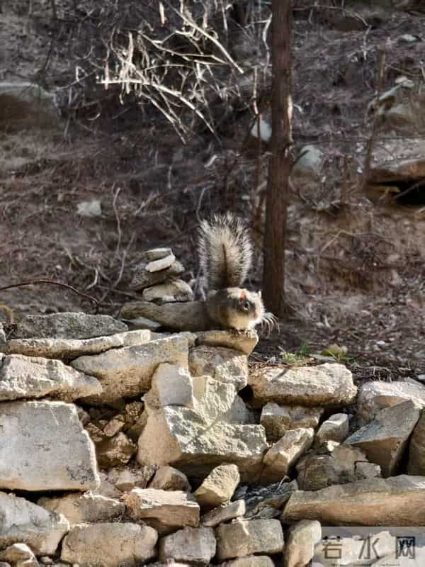 世界模型的下一个阶段是什么？智源研究院给出了答案