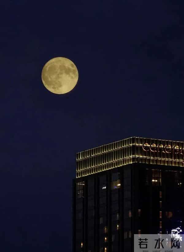 今年最后一次！就在明天！