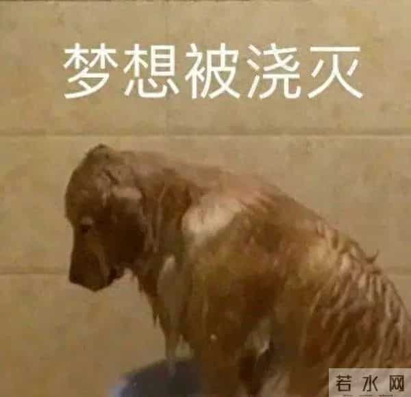 OpenAI大溃败，GPT-5「换皮」GPT-4o，两年半预训练0突破