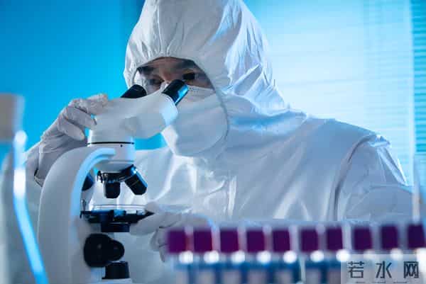 胡萝卜立功了？欧洲科学家从中发现宝藏，补充或可“拨慢”衰老