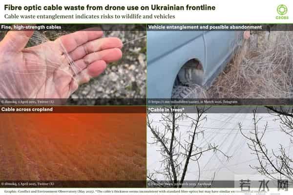 乌克兰的鸟用战场上的光纤筑巢,有的还用防鸟刺造窝,鸟类工业革命来了?