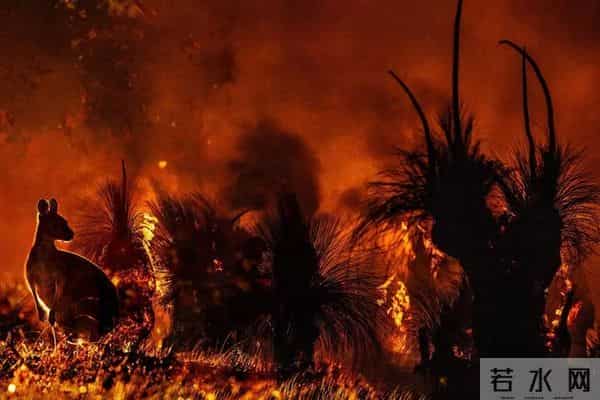 澳大利亚的先天困境：坐拥全球第6大面积，为何难逃4大地理缺陷？