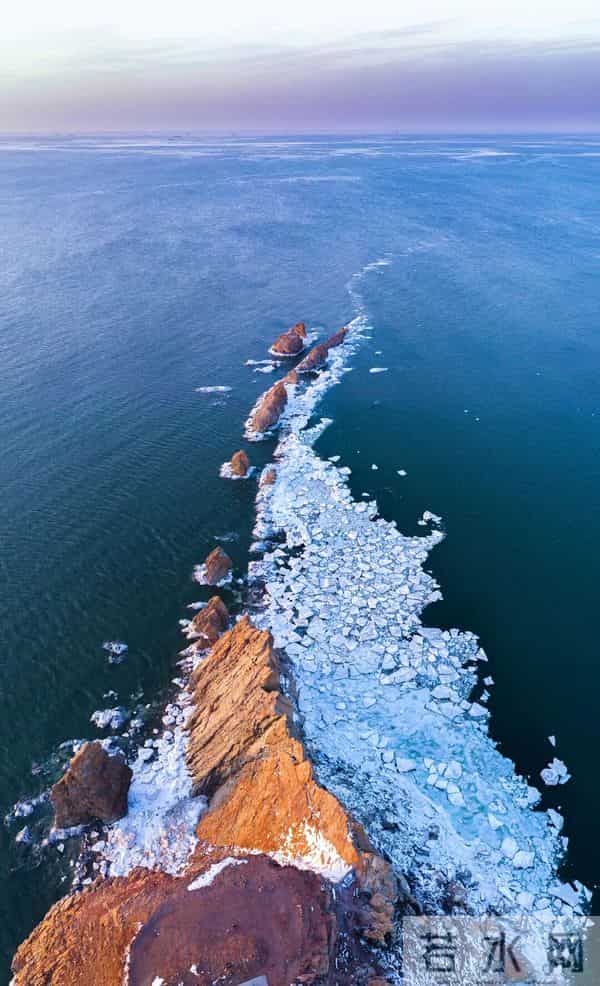 这种辽宁“含金量”,全国最高!