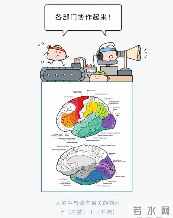 人脑只开发了10%？那100%全开得是啥样啊？