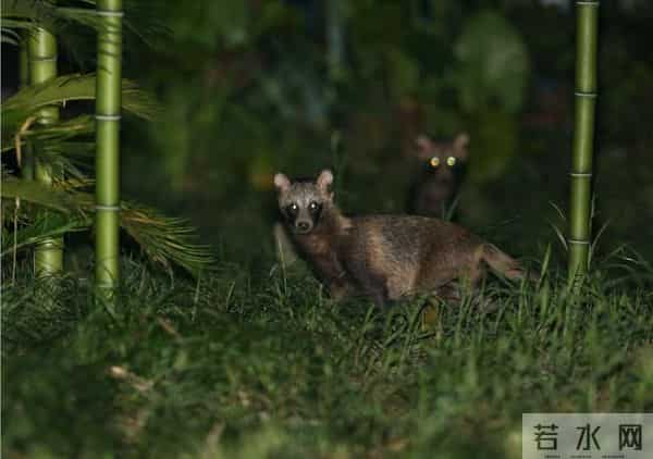 上海又有两区出现！有小区密度奇高，原因找到→