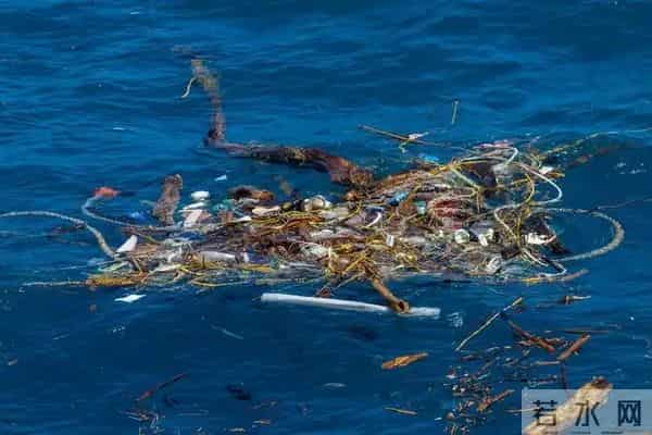 史前文明证据一亿多年前的地层,惊现大量被“铁钉”穿喉杀死的鱼