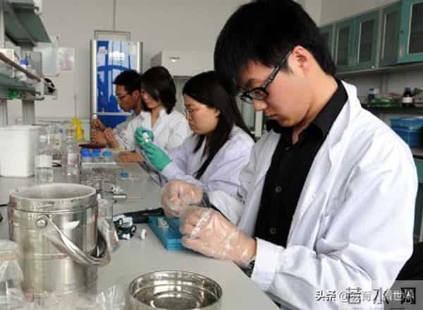 3年心血不敌一月突破？Nature论文作者排序争议，科研人破防！