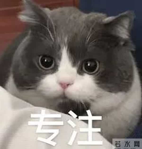 “喜欢开倍速看视频的人天塌了”上热搜，网友：我的天，以后不开了！