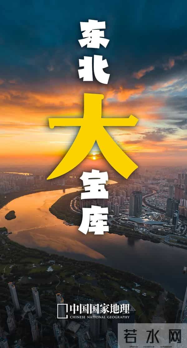 这种辽宁“含金量”,全国最高!