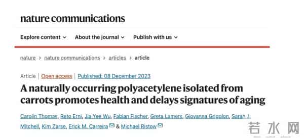 胡萝卜立功了？欧洲科学家从中发现宝藏，补充或可“拨慢”衰老
