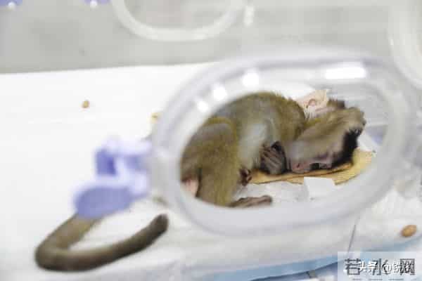 换脑试验领跑全球!9500万抑郁症患者有救?国家给出新方案