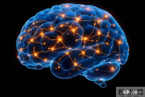 换脑试验领跑全球!9500万抑郁症患者有救?国家给出新方案