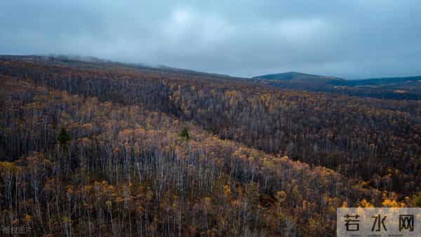 锡霍特山脉：东北虎的绿色堡垒，这里面还藏着多少秘密呢？