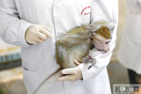 换脑试验领跑全球!9500万抑郁症患者有救?国家给出新方案