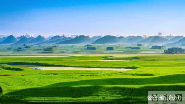 微信被冻结6次才懂！逾期后保住微信的绝招，零钱再也不被划扣