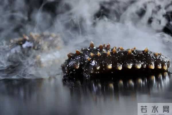 这种辽宁“含金量”,全国最高!