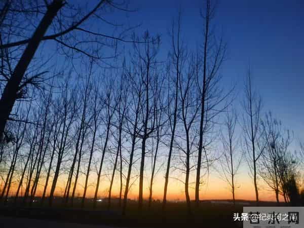 小米登上《人民日报》头版