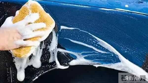 几种被证明是真的，但你无法接受的理论