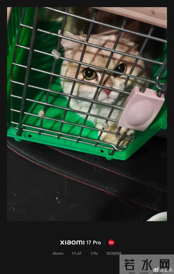 小米王化开SU7 Max携猫上任：一天开了1200多公里 充3次电