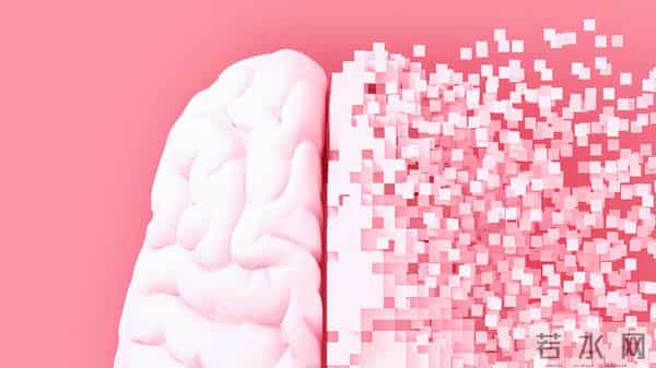 破局!阿尔茨海默病迎来克星,Sox9 激活大脑保洁队,记忆能保住了