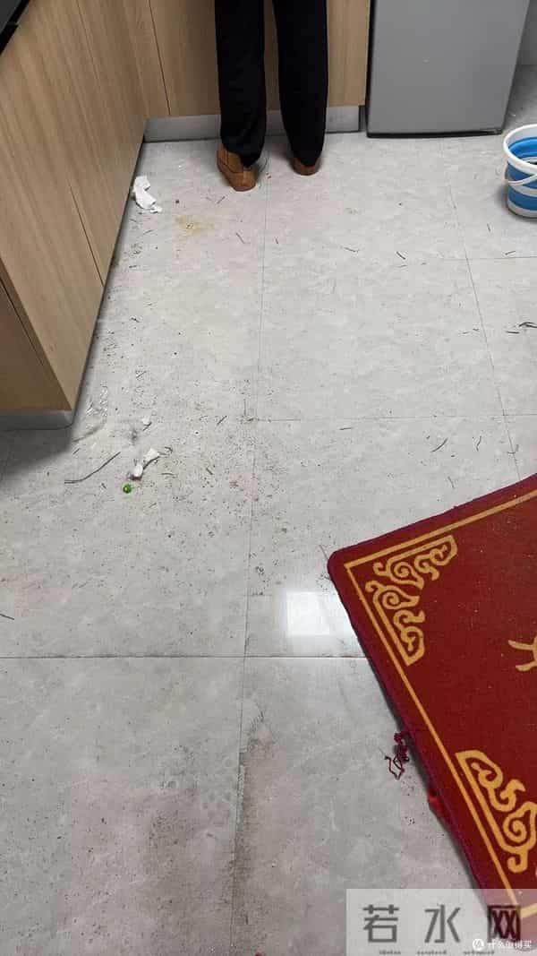 59元续费了Plus会员，直接叫个家政上门服务，值回票价后谈体验！