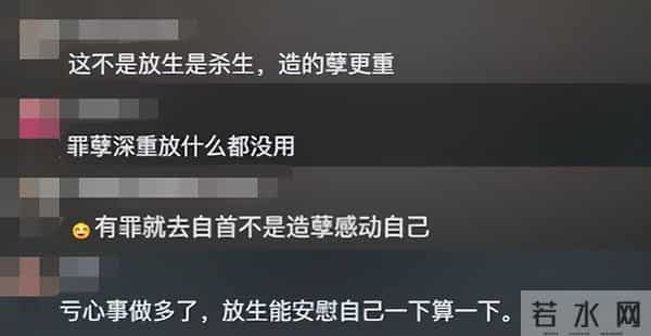 江边发现大量濒死草龟,身上用胶带缠着红布,网友:有罪去自首!