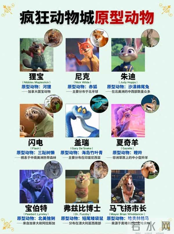 疯狂动物城的“原型动物”,好有讲究啊……