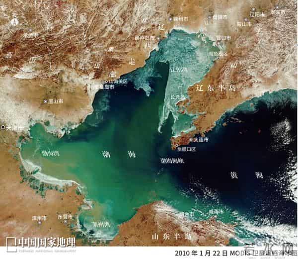 这种辽宁“含金量”,全国最高!
