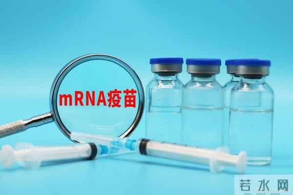 癌症"终结者"来了？解密通用癌症疫苗的原理与突破性进展