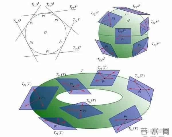 几种被证明是真的，但你无法接受的理论