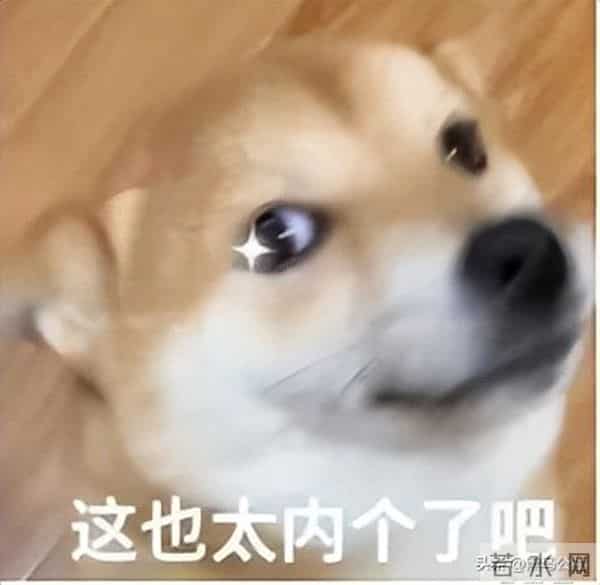 千问上线了个免费的“文档编辑”，我想把办公会员都退了