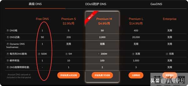 教你免费申请一个永久域名！ClouDNS 平台保姆级教程