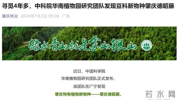 消失40年！学者花4年在广东路边找到，只有1个很小种群，不到10株