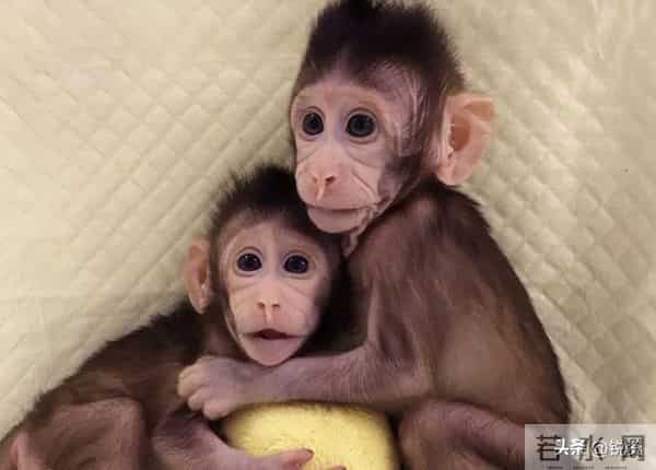 换脑试验领跑全球!9500万抑郁症患者有救?国家给出新方案