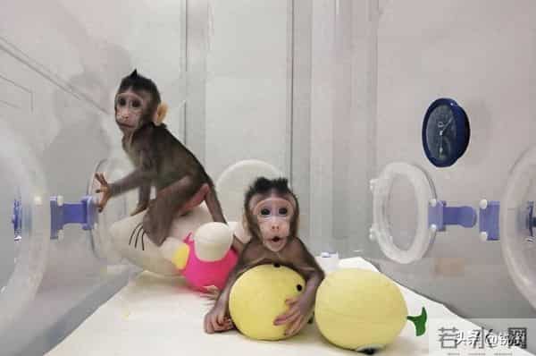 换脑试验领跑全球!9500万抑郁症患者有救?国家给出新方案